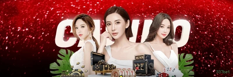 Cassino ao Vivo 337bet